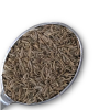 Caraway Seed - Organic