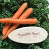 Vegetable Brush