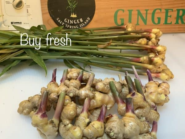 Organic fresh local ginger