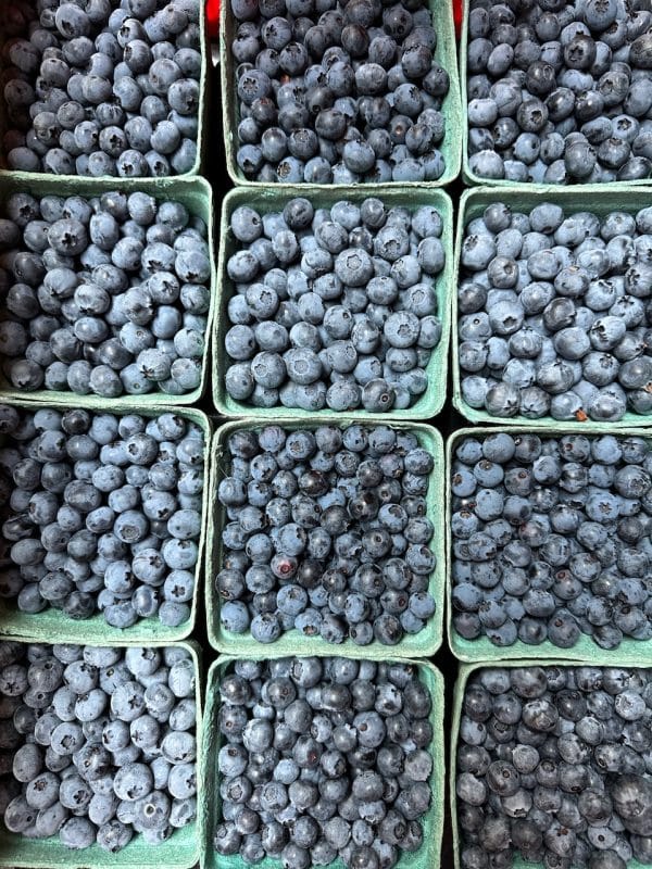 Blueberries