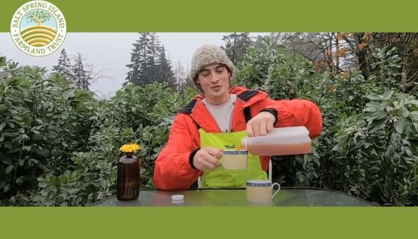 Eternal Apple Juice-2L (Frozen)
