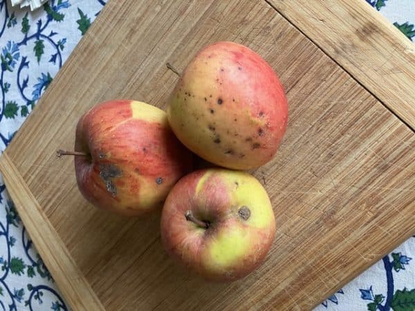 3 Fuji Apple Seconds