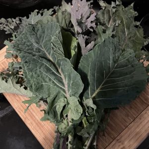 Delicious overwintered kale