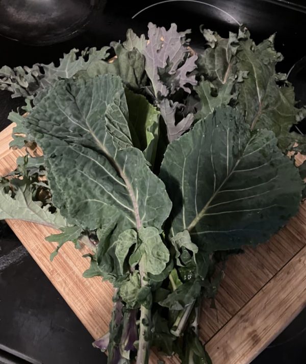 Delicious overwintered kale